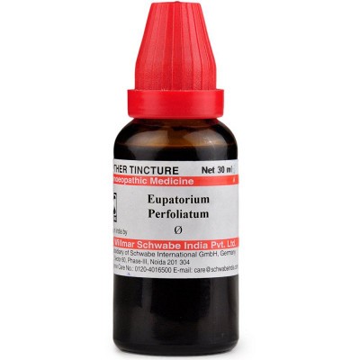 Eupatorium Perfoliatum 1X (Q) (30ml)